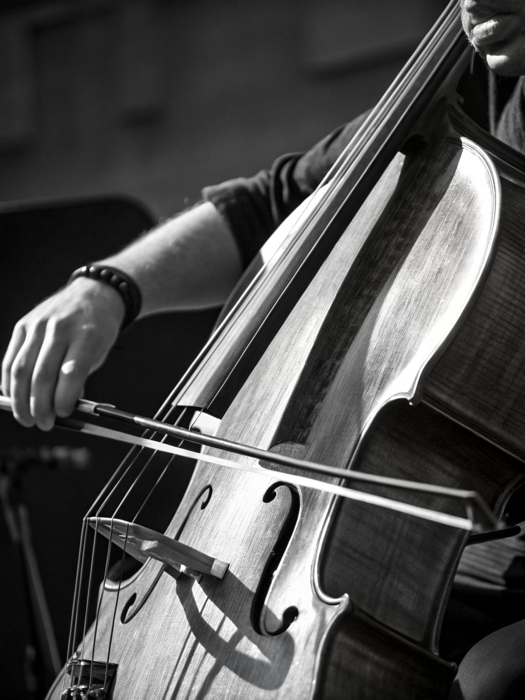 Principal Cellist - String Section